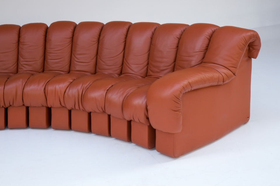 de-sede-endless-sofa-non-stop-ds600-snake.jpg