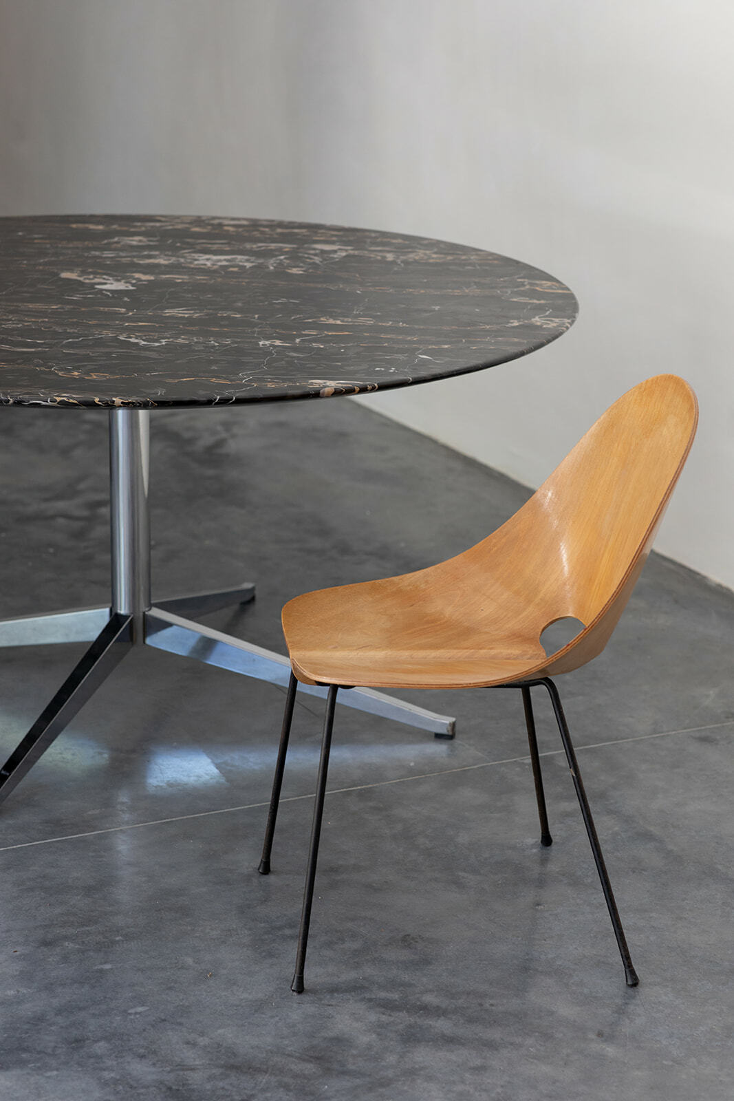 Florence Knoll